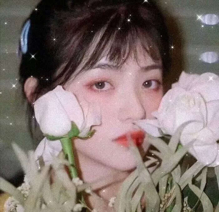 血系之恋