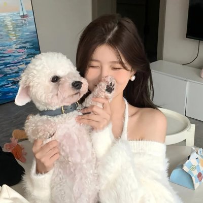 我的师兄太强了